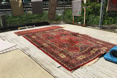Rug Drying Coral Gables