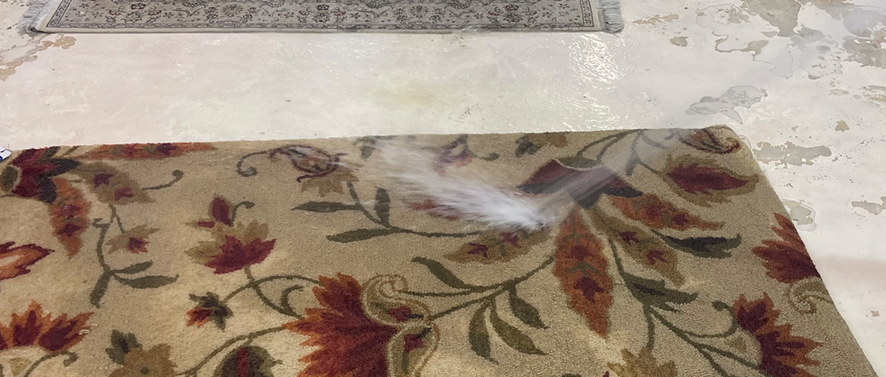 Custom Rug Cleaning Coral Gables