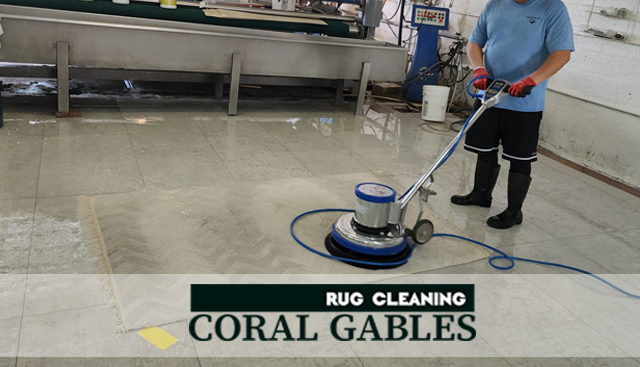 Expert Area Rug Cleaning Service
