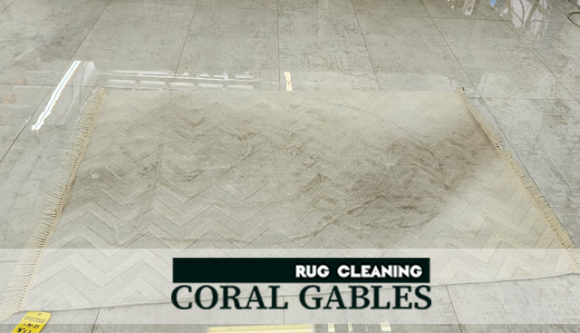 Expert Area Rug Cleaning