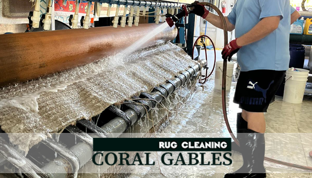 Expert Persian Rug Cleaning