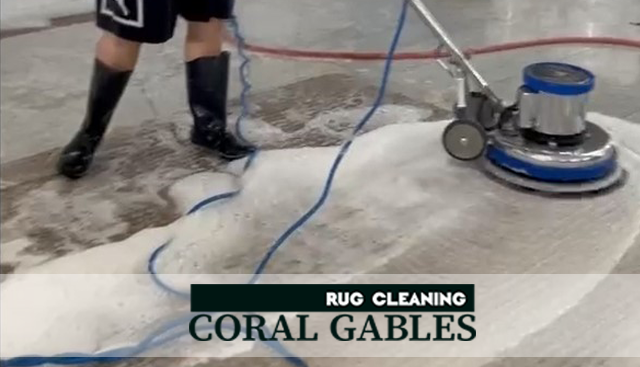 Modern Rug Cleaning Service