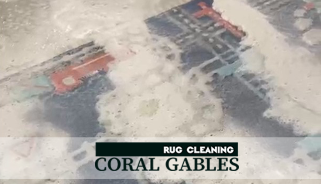 Modern Rug Cleaning