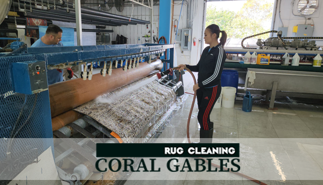 Oriental Rug Cleaning Service