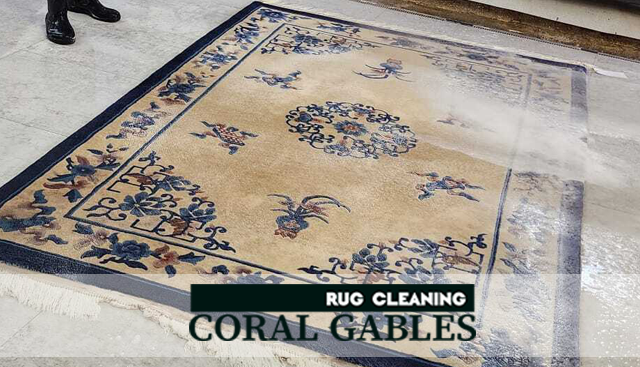 Pet Odor & Stain Removal