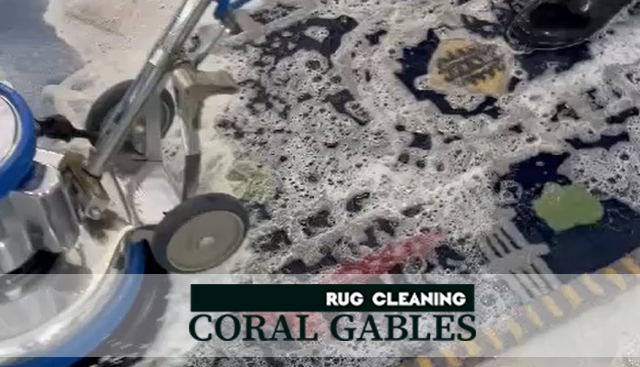 Professional Area Rug Cleaning