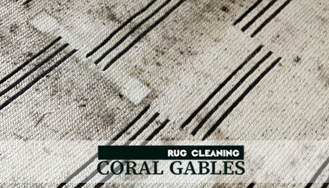 Professional Modern Rug Cleaning