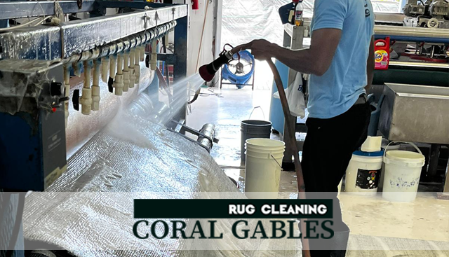 Professional Sisal Rug Cleaning