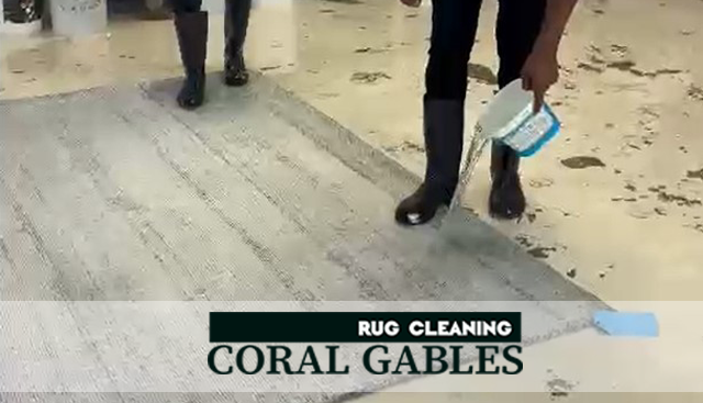 Sisal Rug Cleaning