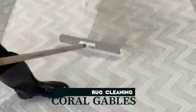 Sisal Rug Cleaning