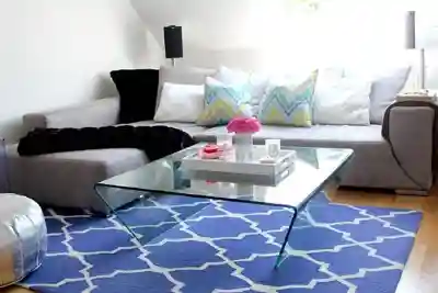 Modern Rug Cleaning